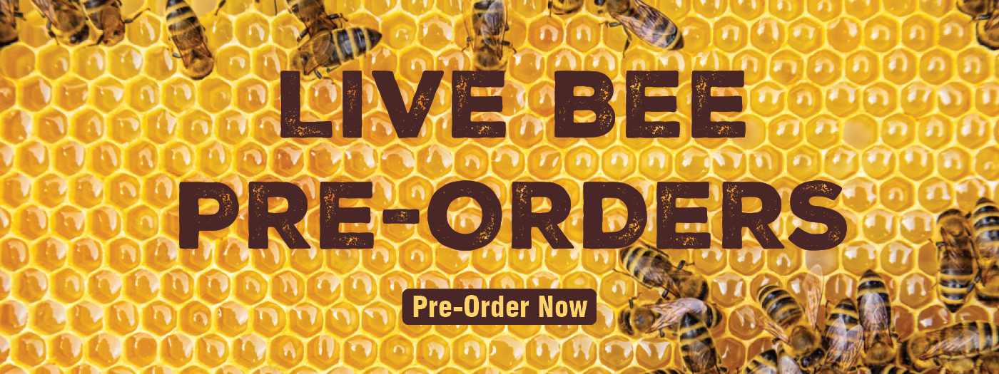 Pre Order Live Bees